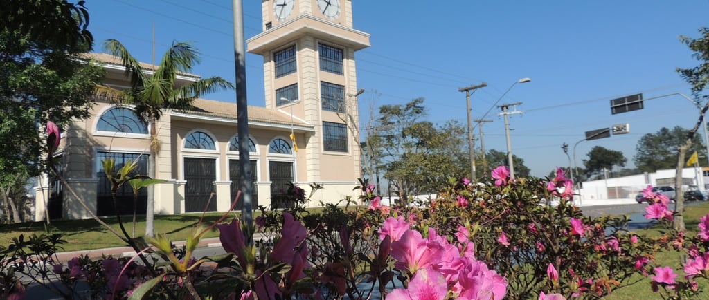 Gestão de redes sociais para dermatlogista em Ribeirão Pires
