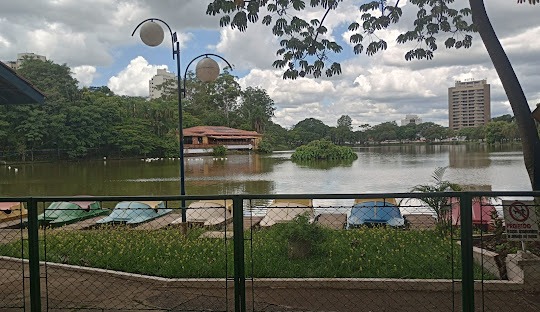 Gestão de redes sociais para cirurgião plástico em Araras