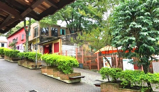 Gestão de redes sociais para Cirurgião Plástico em Embu das Artes