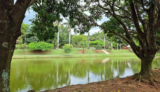 Gestão de redes sociais para cirurgião plástico em Paulínia