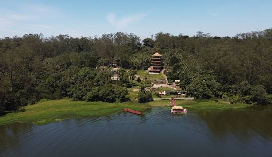 Gestão de redes sociais para cirurgião plástico em Ribeirão Pires