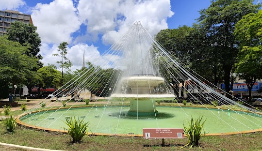 Gestão de redes sociais para cirurgião vascular em Araras