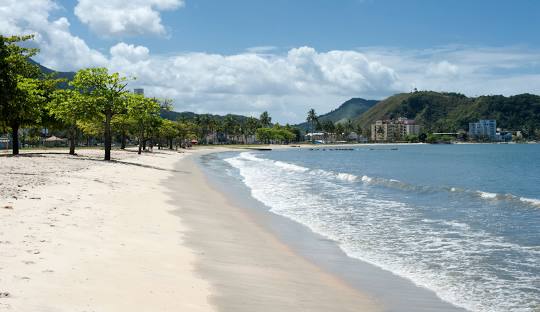 Gestão de redes sociais para cirurgião vascular em Caraguatatuba