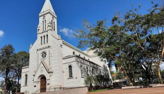  Gestão de redes sociais para cirurgião vascular em Catanduva