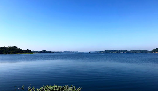 Gestão de redes sociais para cirurgião vascular em Embu das artes