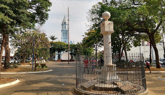 Gestão de redes sociais para cirurgião vascular em Franca