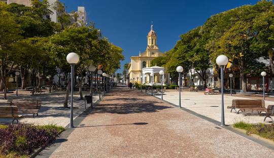 Gestão de redes sociais para cirurgião vascular em Itu