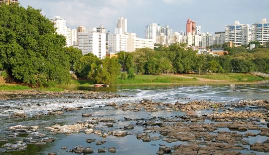 Gestão de redes sociais para cirurgião vascular em Piracicaba