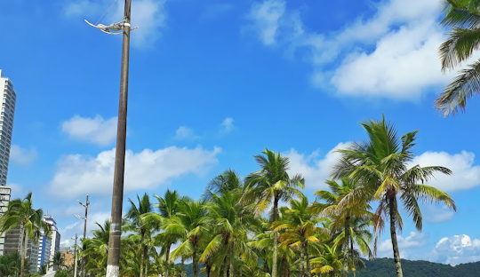 Gestão de redes sociais para cirurgião vascular em Praia Grande