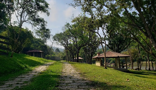 Gestão de redes sociais para cirurgião vascular em Ribeirão Pires