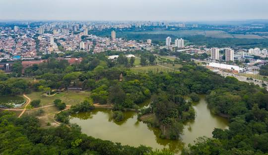 Gestão de redes sociais para cirurgião Vascular em São José dos Campos