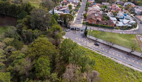Gestão de redes sociais para cirurgião vascular em Valinhos