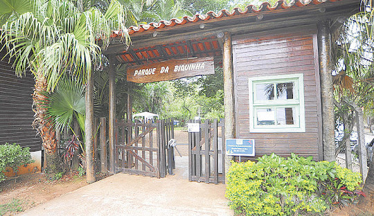 Gestão de redes sociais para cirurgião vascular em Votorantim