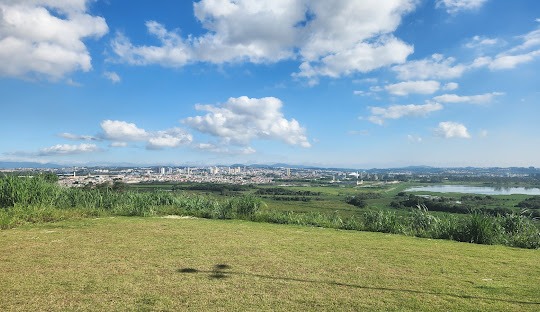 Gestão de redes sociais para dermatologista em Itaquaquecetuba