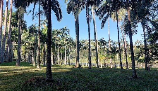 Gestão de redes sociais para dermatologistas