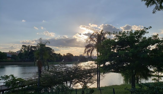 Gestão de redes sociais para Dermatologista em São José do Rio Preto