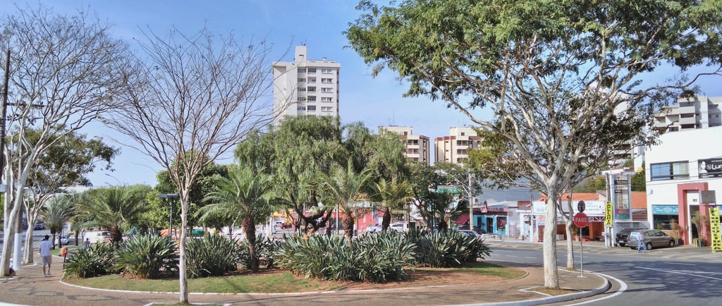 Gestão de redes sociais para Dermatologista em Valinhos