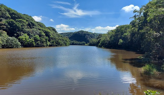 Gestão de Tráfego Pago para Alergista em Mauá