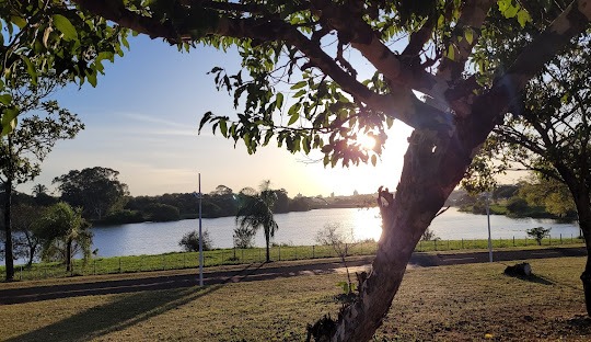 Gestão de Tráfego Pago para Alergista em São José do Rio Preto