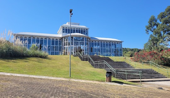 Gestão de Tráfego Pago para Alergista em Sorocaba