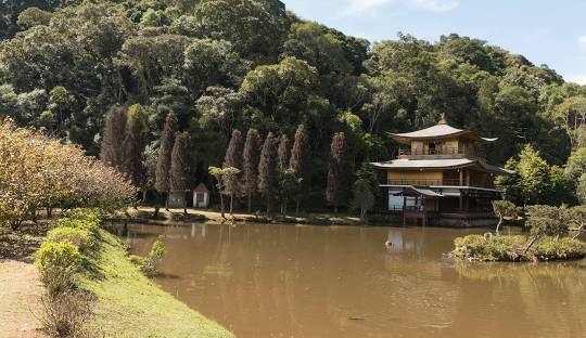 Gestão de Redes Sociais para Oftalmologista em Itapecerica da Serra 