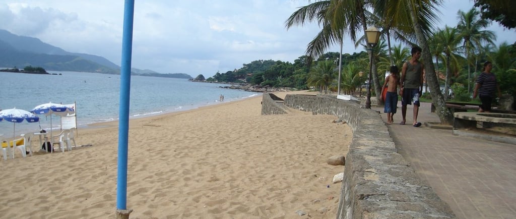 Gestão de redes sociais para Neurologista em Praia Grande