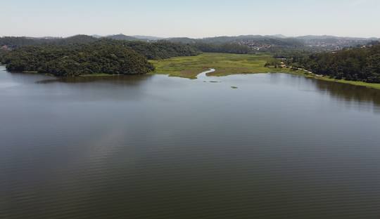 Gestão de Redes Sociais para Angiologista em Ribeirão Pires