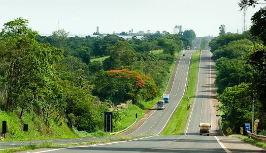 Gestão de Redes Sociais para Angiologista em Rio Claro 