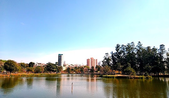 Implementação de CRM em clínicas de Cirurgia Plástica em Santa Bárbara d'Oeste