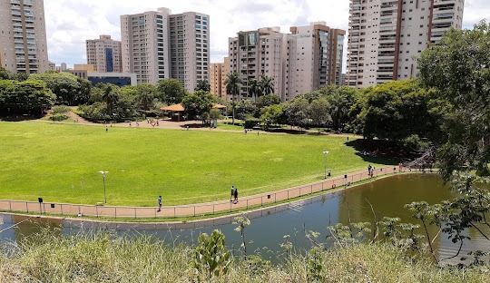 Tráfego pago para Geriatra em Ribeirão Preto-SP
