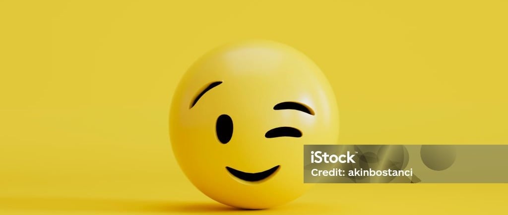 consultant SEO PAYS BASQUE