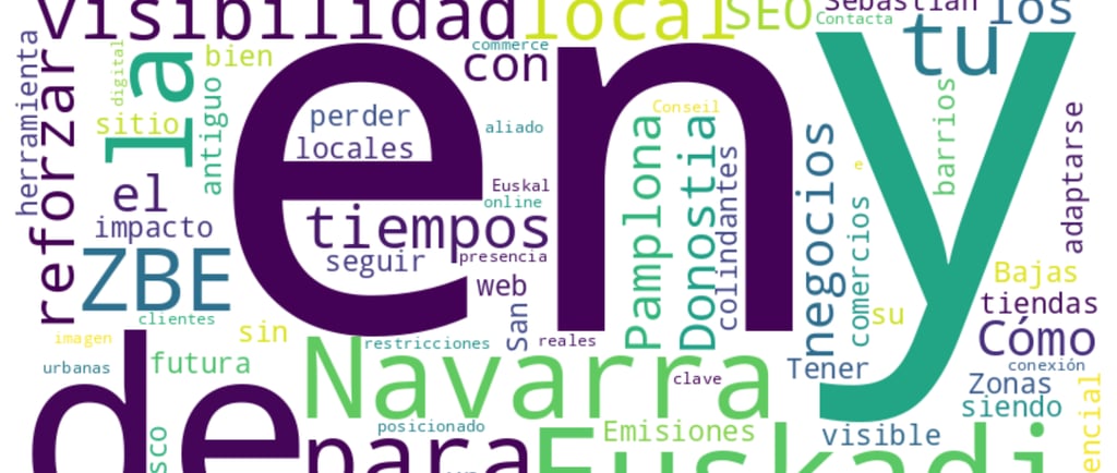 SEO LOCAL