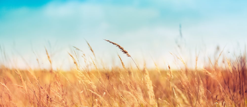 prendre soin de la peau post été
