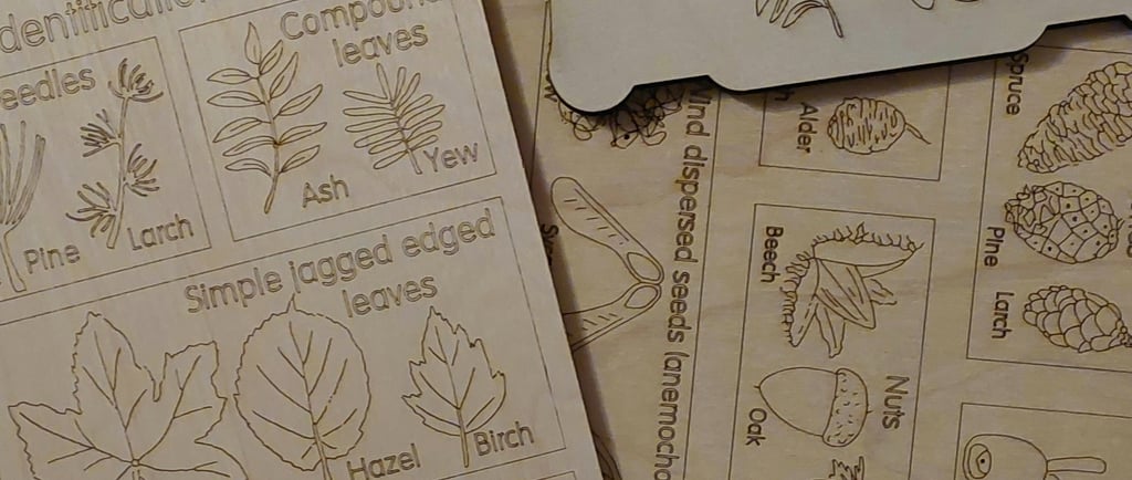 images and word descriptions of tree leaves and tree seeds
