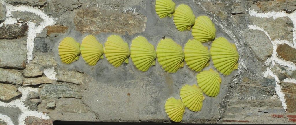 a group of yellow shells on a stone wall