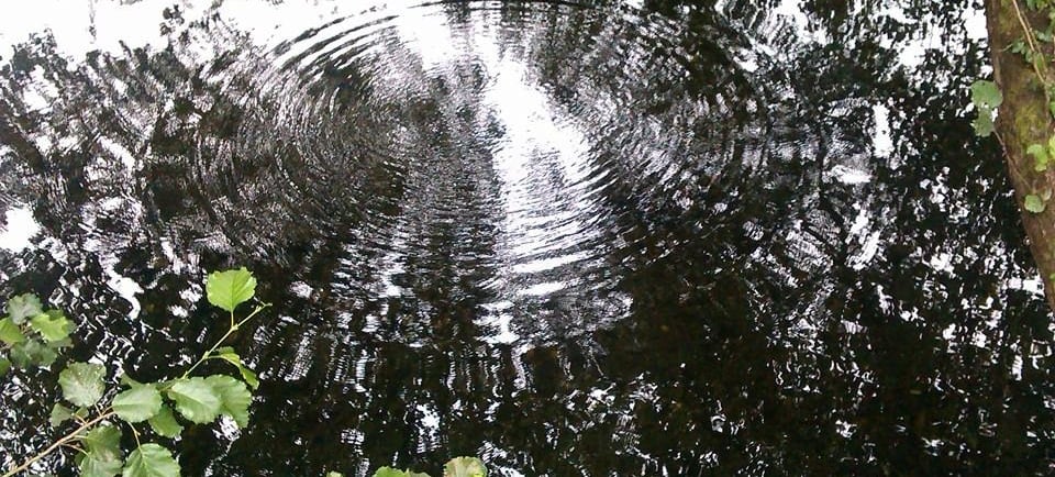 a circular shaped object in the middle of a pond