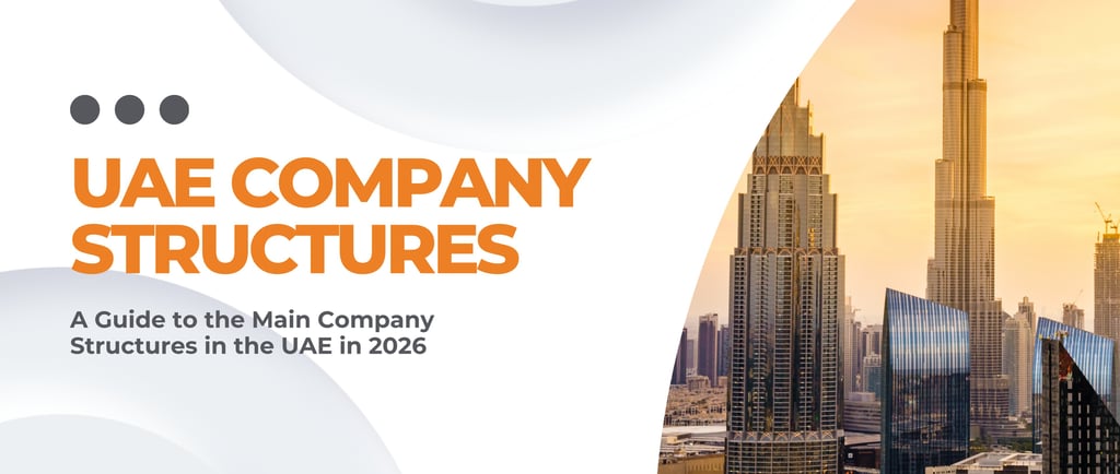 IgniteX Solutions describing the different company structures in the UAE (LLC, FZE, FZ CO etc.)