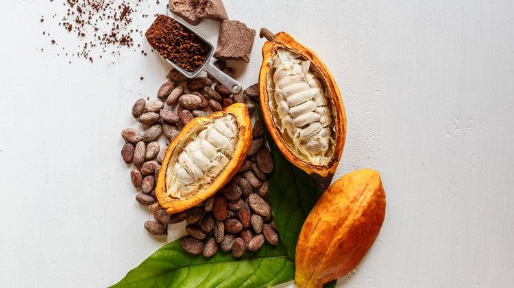 Raw cocoa ingredients including cocoa pods, cocoa beans, and cocoa powder