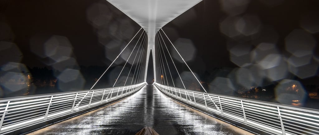 Silta johonkin