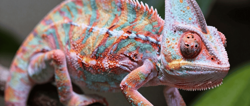 A cozy reading nook with a copy of 'Leadership Legacy' open beside a steaming cup of coffee.