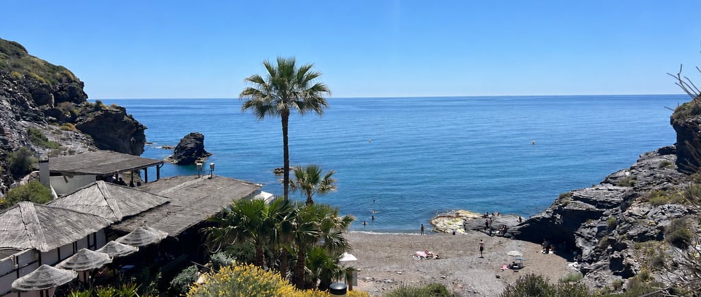 Sunlit Mediterranean cove in Spain with palm trees, rocky coastline, and tranquil blue sea viewed from above.