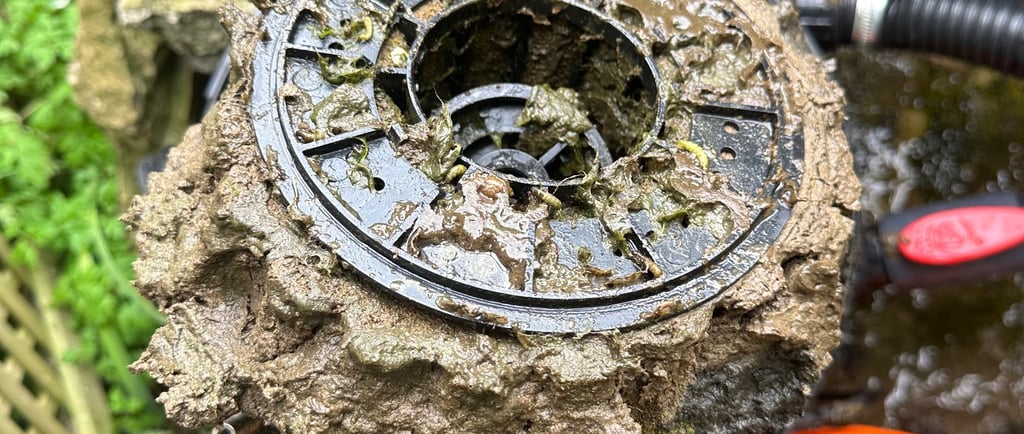 Garden Pond filter maintenance tips