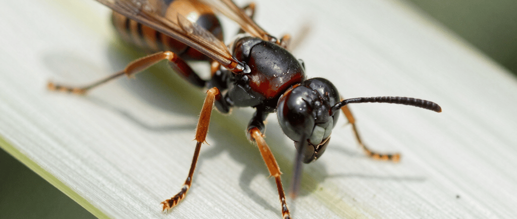 photo of white staircase
