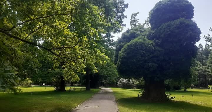 Градина в Куртово Конаре с различни дървета, осигуряващи сянка и красива зелена морава