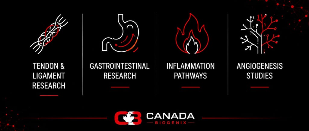 Canada Biogenix research infographic showing medical studies for tendons, gastrointestinal health, inflammation, and