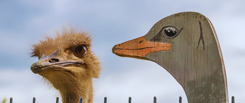 Différence entre source primaire et source secondaire Wikipédia