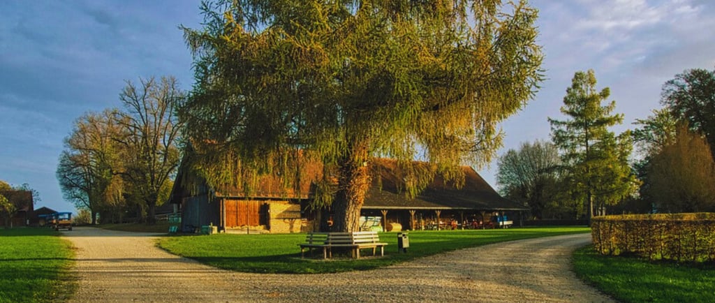 Choisir entre Wikipédia et Wikimonde