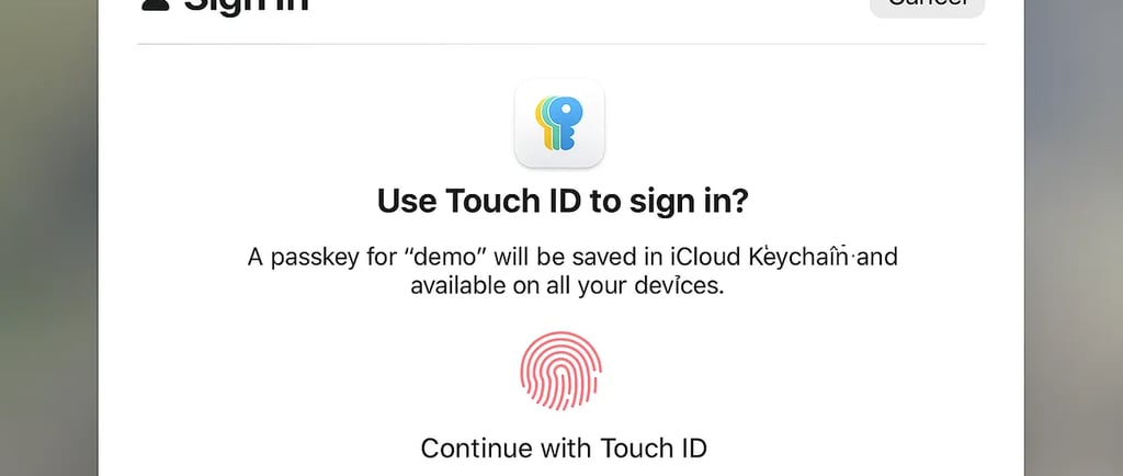 demo interface showing Touch ID biometric sign-in for passwordless authentication