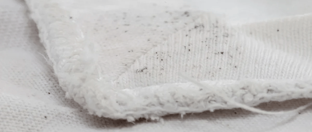 Ropa con manchas de moho dentro de un armario húmedo, ejemplo común de humedad en dormitorios y falt