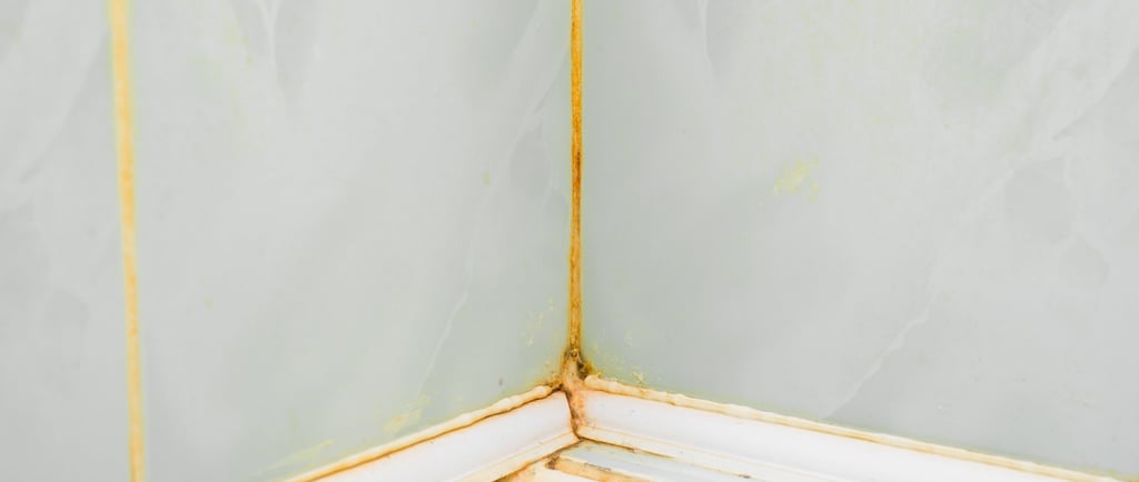 Humedad y moho en juntas de baño con silicona deteriorada